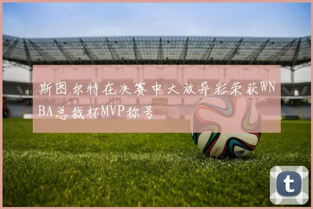 斯图尔特在决赛中大放异彩荣获WNBA总裁杯MVP称号